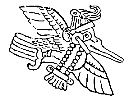Mayan Hummingbirds