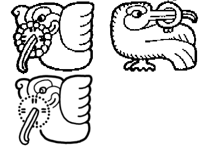 Mayan Hummingbirds