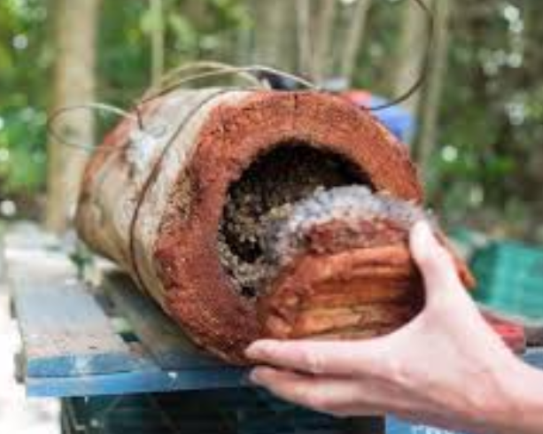 A traditional jobón hive